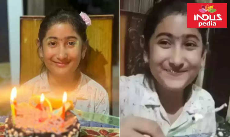 Patiala News: What is Saccharin? Synthetic sweetener in cake that claimed girl's life