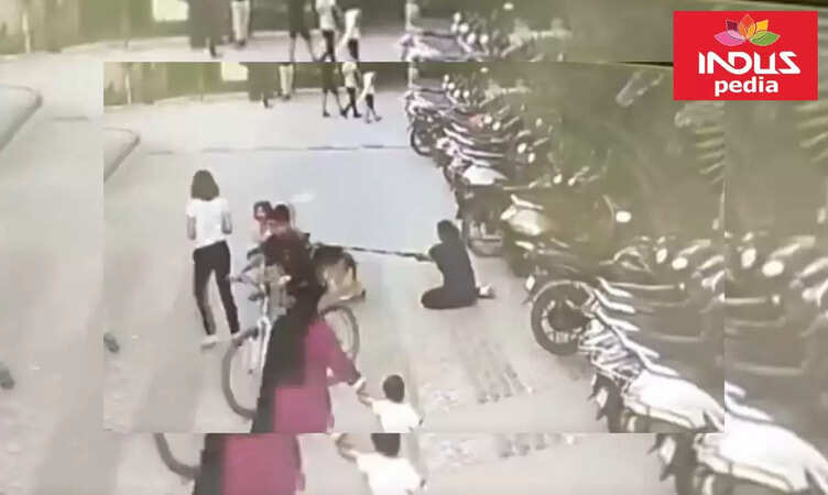 Ghaziabad Horror: Girl Injured in German Shepherd Attack, Owner Faces Legal Action