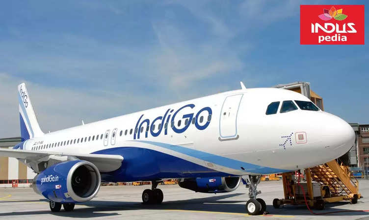 Fly Together, Fly Comfortably: IndiGo's New Feature Lets Women Choose Seats Next to Other Women